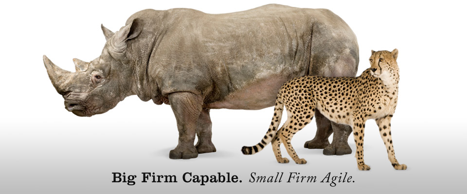 Big firm capable. Small firm agile.