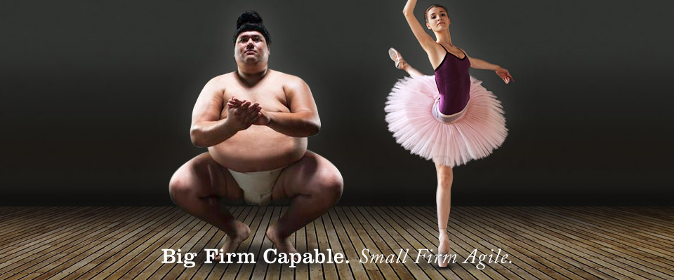 Big firm capable. Small firm agile.